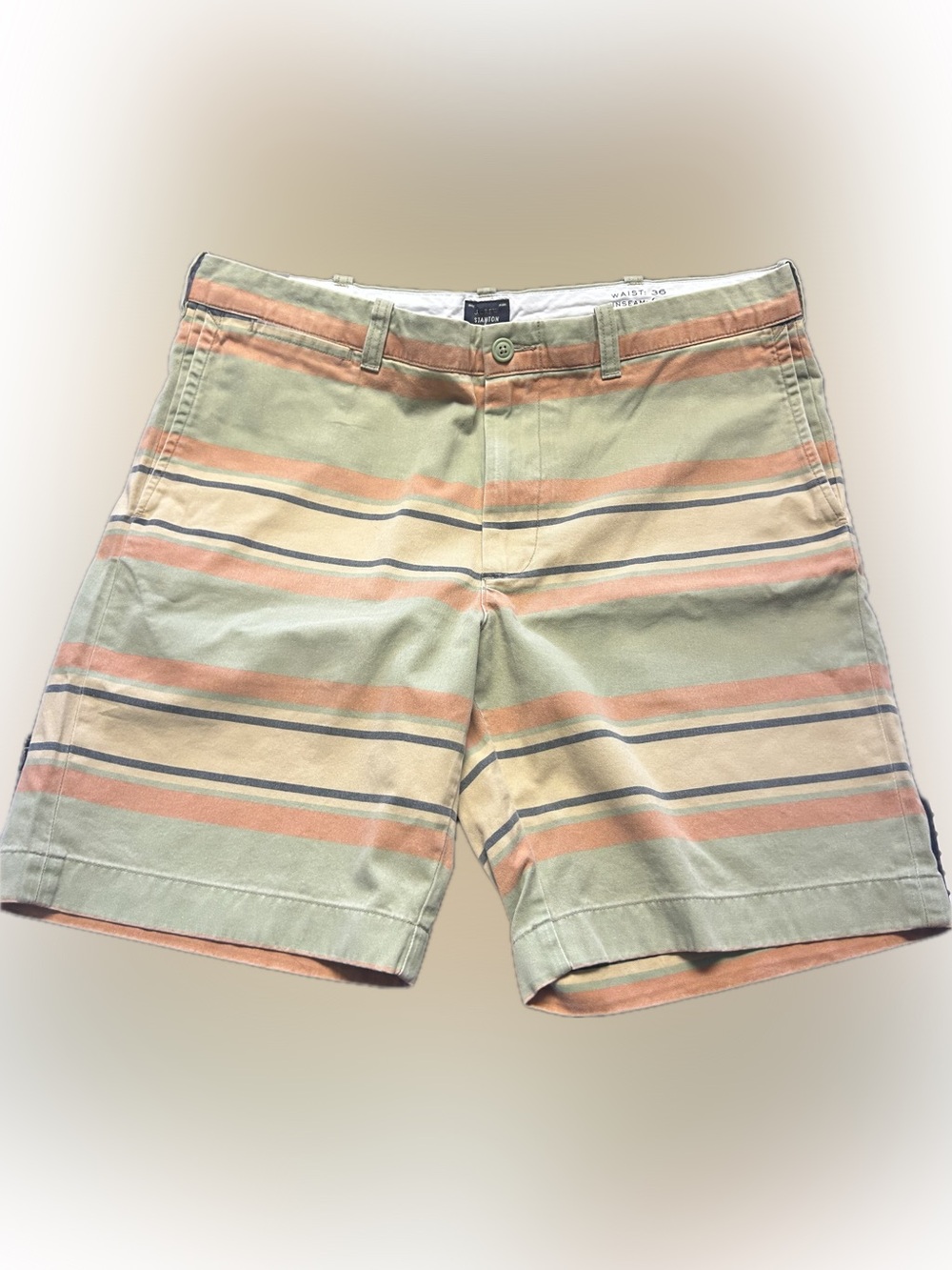 Stanton Striped Print Flat Front Casual Shorts